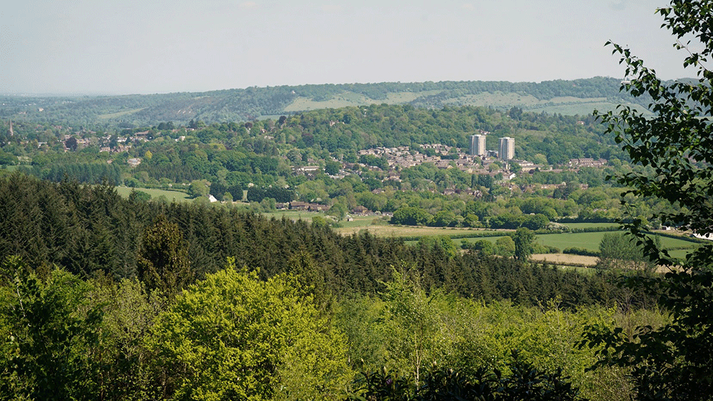 Looking out over Dorking Toward London in the distance